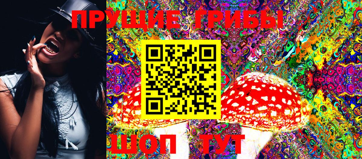 Галлюциногенные грибы MAGIC MUSHROOMS Каменка